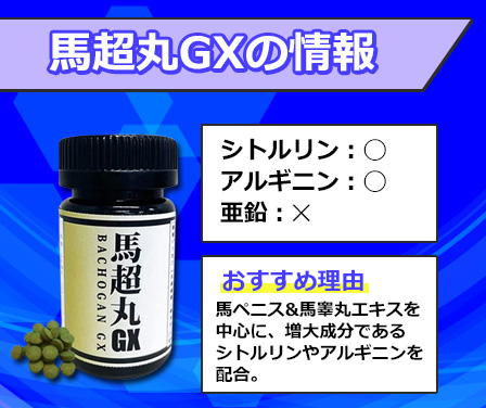 馬超丸GXの情報の図解