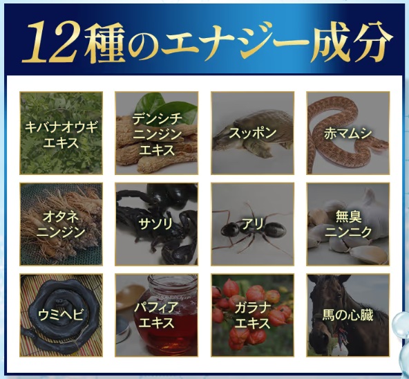 動植物系エキスによる総合的なサポート